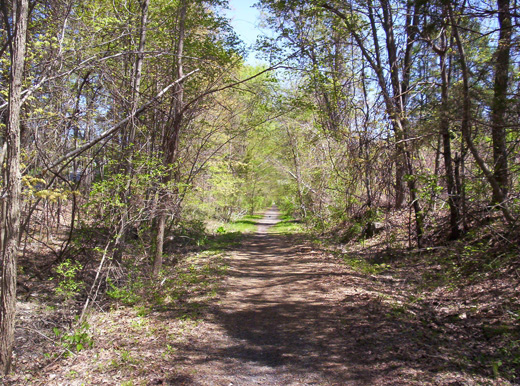 Rail Trail Entrance