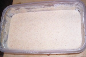 Sourghdough Starter